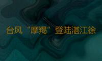 台风“摩羯”登陆湛江徐闻，广东电网公司全力勘灾复电 